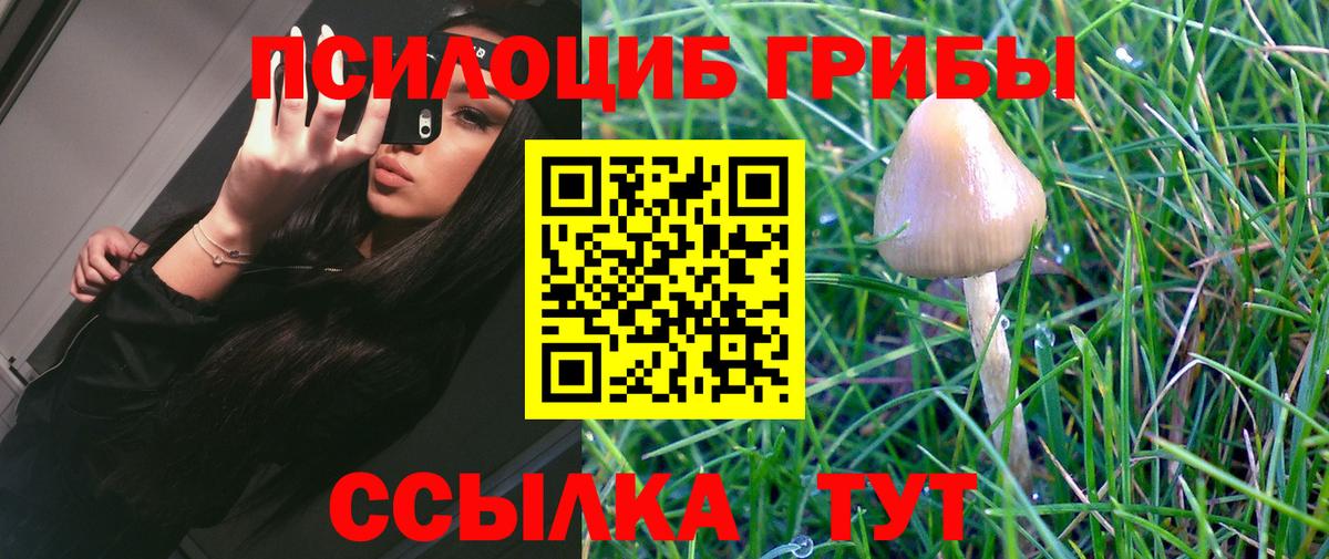 Галлюциногенные грибы Magic Shrooms Новозыбков